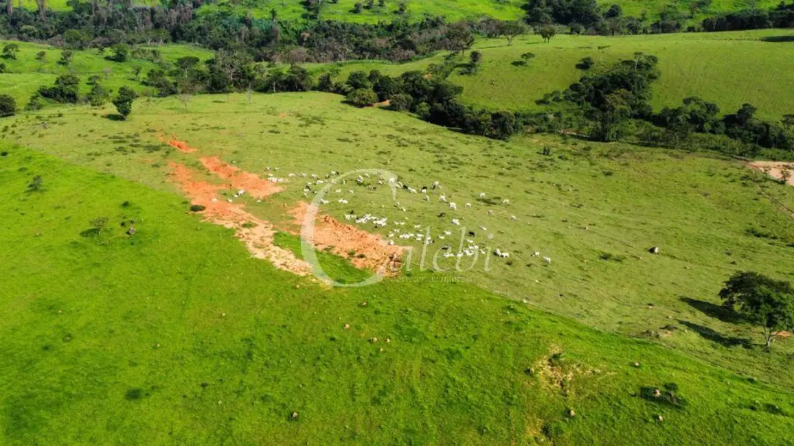 Fazenda / Haras com 3 quartos à venda, 218m2 em Centro, Itapira - SP - imagem 7 Foto 7 de Fazenda / Haras com 3 quartos à venda, 218m2 em Centro, Itapira - SP