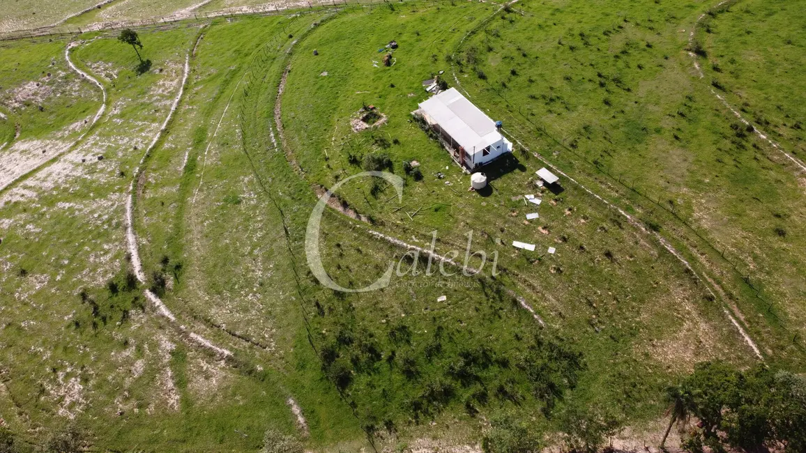 Sítio / Rancho com 1 quarto à venda em Artur Nogueira - SP - imagem 7 Foto 7 de Sítio / Rancho com 1 quarto à venda em Artur Nogueira - SP