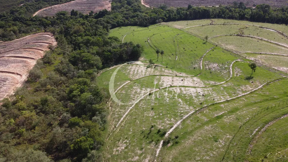 Sítio / Rancho com 1 quarto à venda em Artur Nogueira - SP - imagem 8 Foto 8 de Sítio / Rancho com 1 quarto à venda em Artur Nogueira - SP