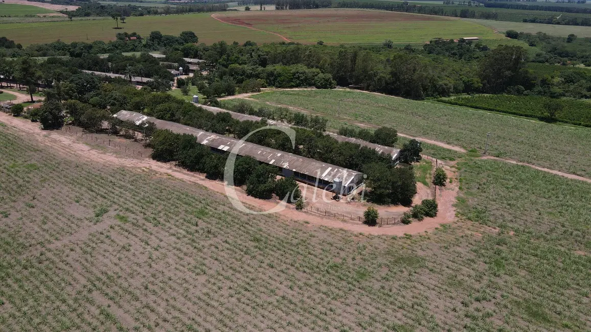Foto 1 de Sítio / Rancho com 6 quartos à venda, 20m2 em Casa Branca - SP