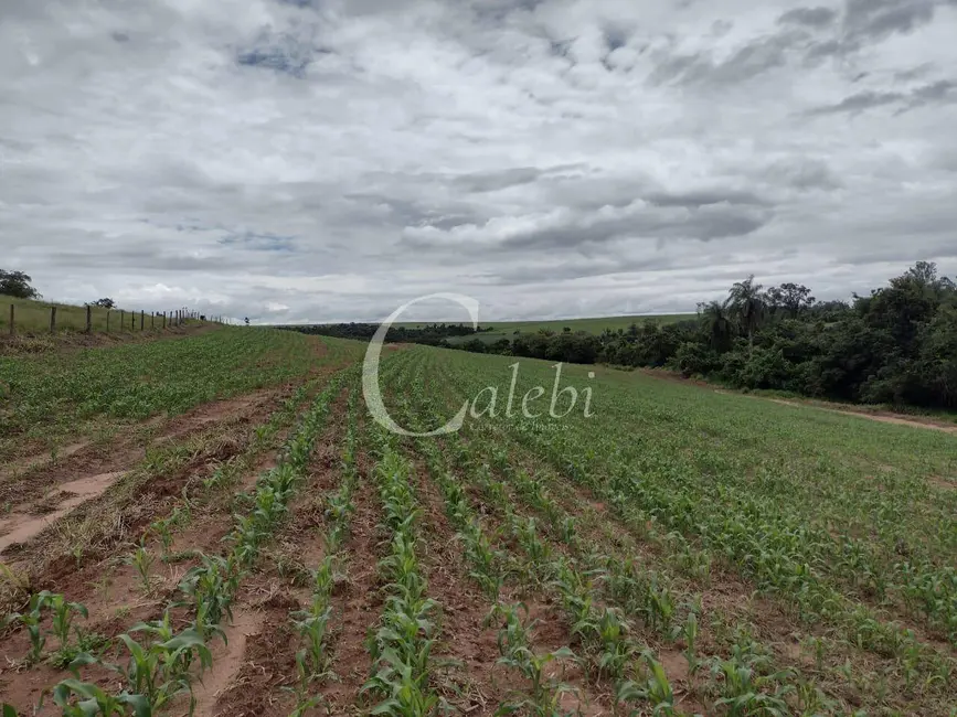 Foto 4 de Sítio / Rancho com 3 quartos à venda, 27m2 em Casa Branca - SP