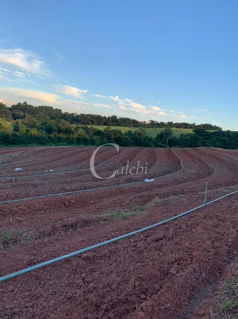 Foto 7 de Sítio / Rancho com 3 quartos à venda, 27m2 em Casa Branca - SP