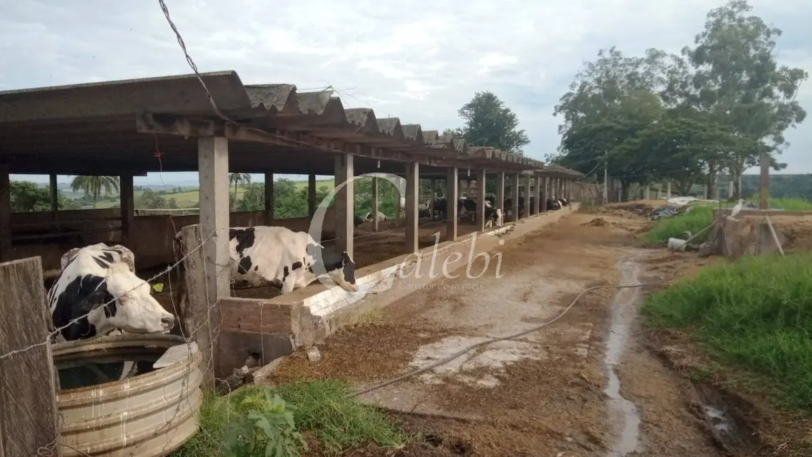 Foto 8 de Sítio / Rancho com 3 quartos à venda, 27m2 em Casa Branca - SP