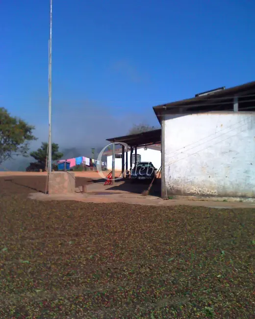 Foto 4 de Sítio / Rancho com 3 quartos à venda, 26m2 em Nova Resende - MG