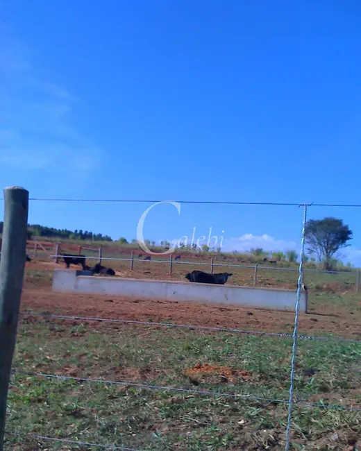 Foto 3 de Sítio / Rancho com 3 quartos à venda, 26m2 em Nova Resende - MG