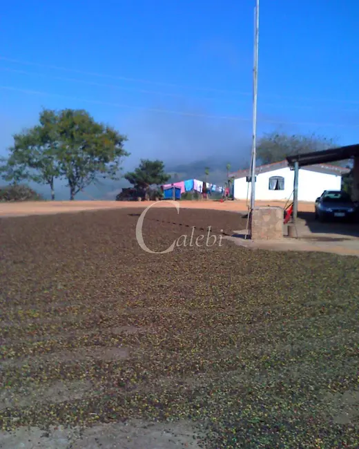 Foto 5 de Sítio / Rancho com 3 quartos à venda, 26m2 em Nova Resende - MG