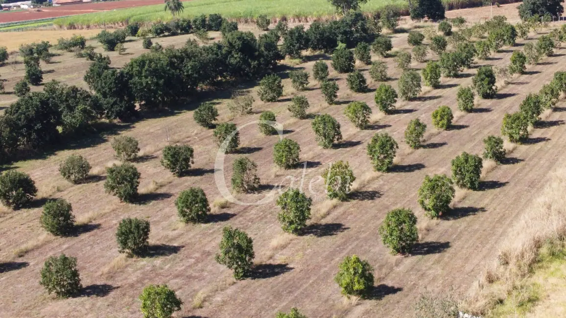 Foto 7 de Sítio / Rancho à venda e para alugar em Artur Nogueira - SP