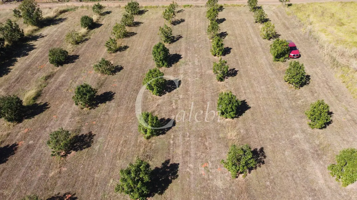 Foto 4 de Sítio / Rancho à venda e para alugar em Artur Nogueira - SP