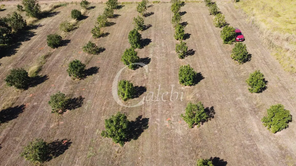 Foto 3 de Sítio / Rancho à venda e para alugar em Artur Nogueira - SP