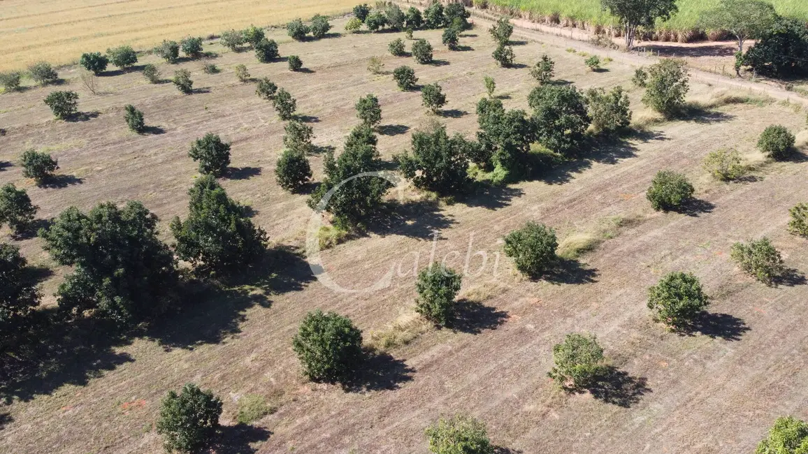 Foto 5 de Sítio / Rancho à venda e para alugar em Artur Nogueira - SP