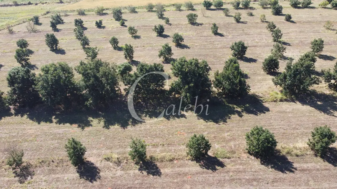 Foto 6 de Sítio / Rancho à venda e para alugar em Artur Nogueira - SP