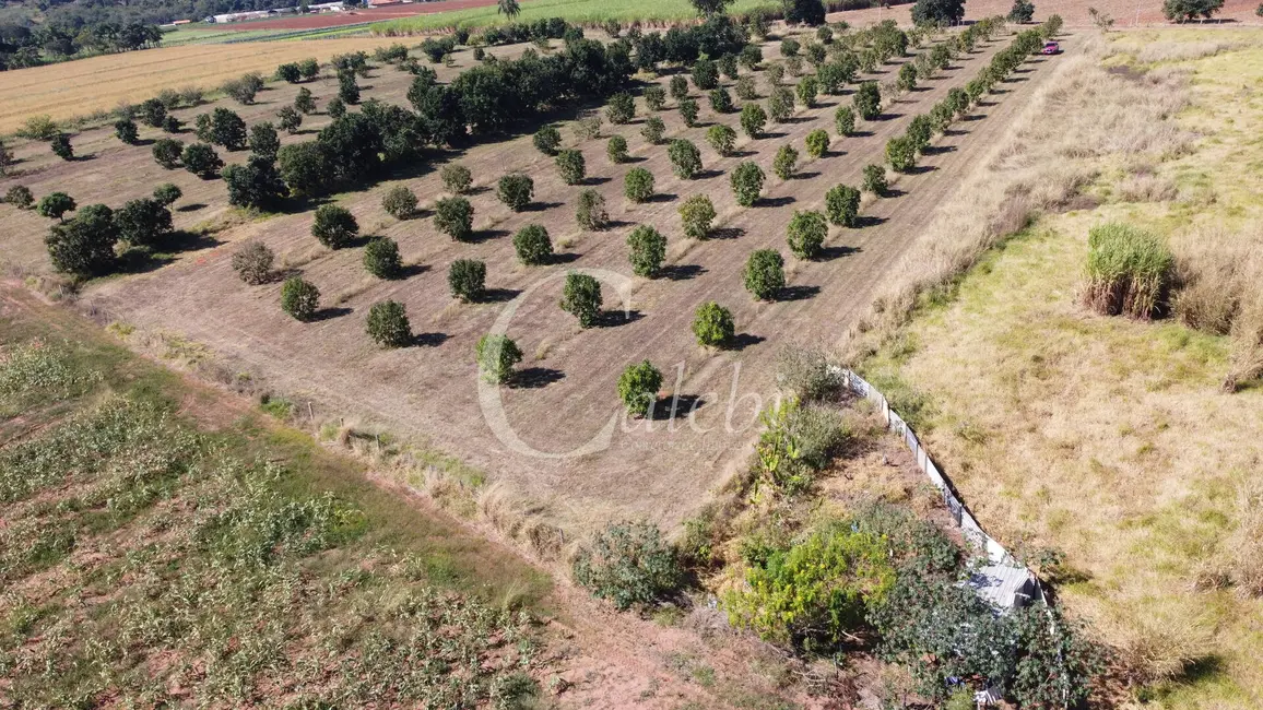 Foto 1 de Sítio / Rancho à venda e para alugar em Artur Nogueira - SP