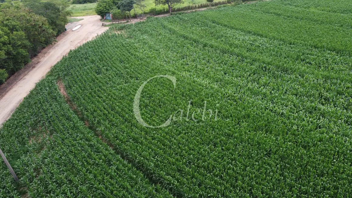 Foto 3 de Sítio / Rancho à venda em Artur Nogueira - SP