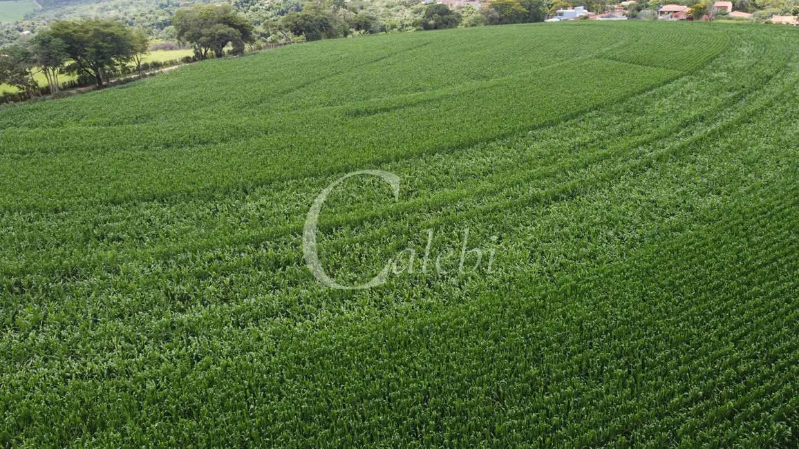 Foto 4 de Sítio / Rancho à venda em Artur Nogueira - SP
