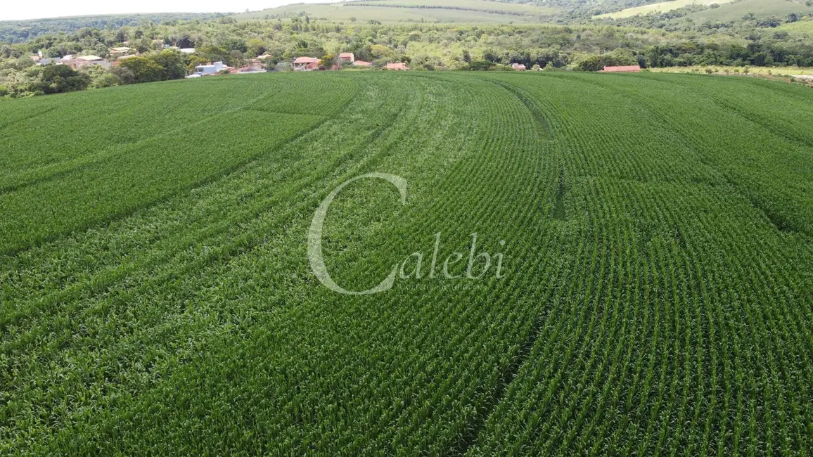 Foto 5 de Sítio / Rancho à venda em Artur Nogueira - SP