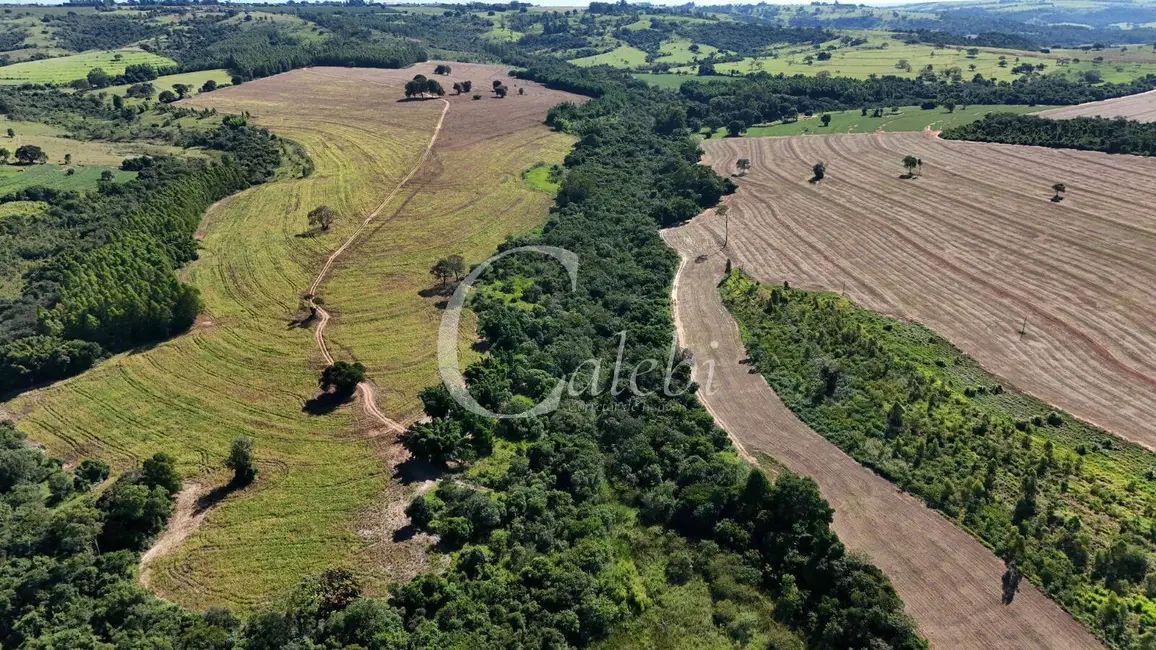 Foto 4 de Fazenda / Haras com 3 quartos à venda, 57m2 em Echapora - SP