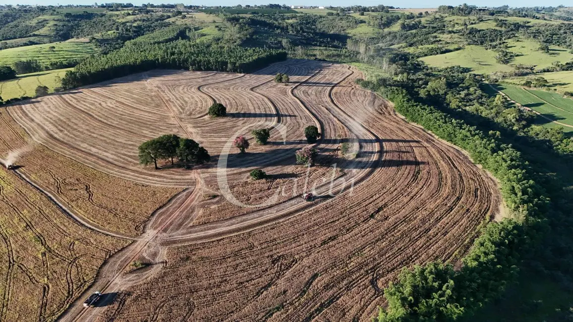 Foto 9 de Fazenda / Haras com 3 quartos à venda, 57m2 em Echapora - SP