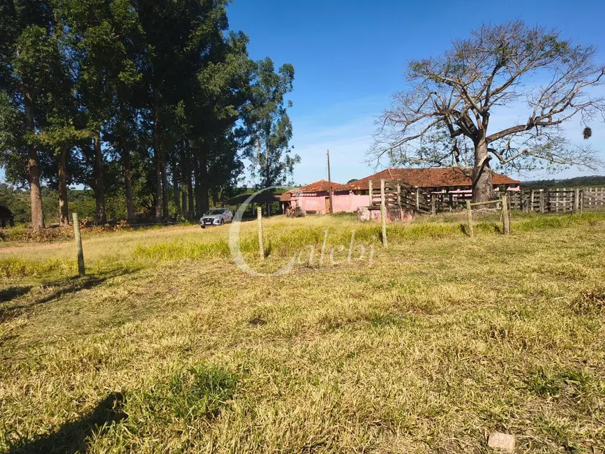 Fazenda / Haras à venda, 272m2 em Centro, Mococa - SP - imagem 7 Foto 7 de Fazenda / Haras à venda, 272m2 em Centro, Mococa - SP