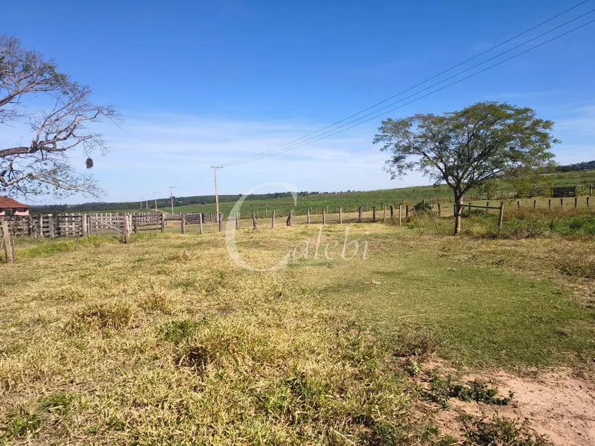 Fazenda / Haras à venda, 272m2 em Centro, Mococa - SP - imagem 4 Foto 4 de Fazenda / Haras à venda, 272m2 em Centro, Mococa - SP