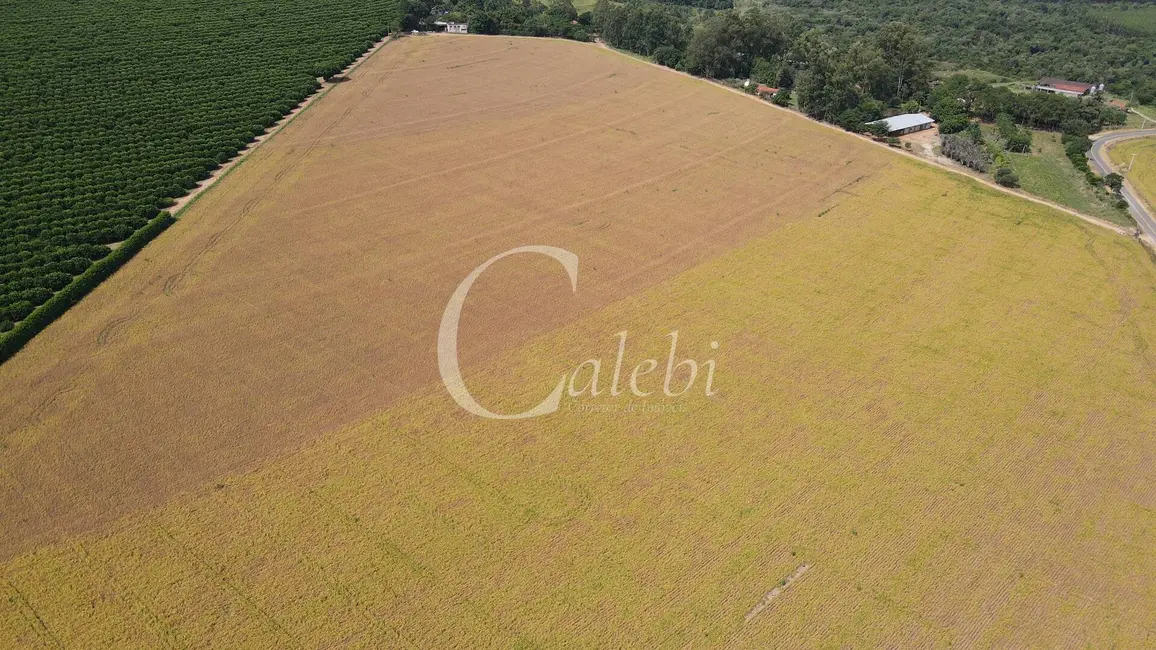 Foto 3 de Sítio / Rancho com 3 quartos à venda, 314600m2 em Mombaca, Mogi Guacu - SP