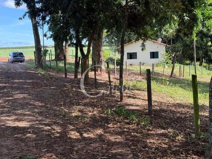 Foto 9 de Sítio / Rancho com 3 quartos à venda, 484000m2 em Mombaca, Mogi Guacu - SP