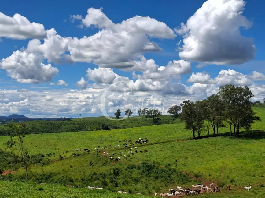 Foto 5 de Fazenda / Haras com 3 quartos à venda, 70m2 em Área Rural de Poços de Caldas, Pocos De Caldas - MG
