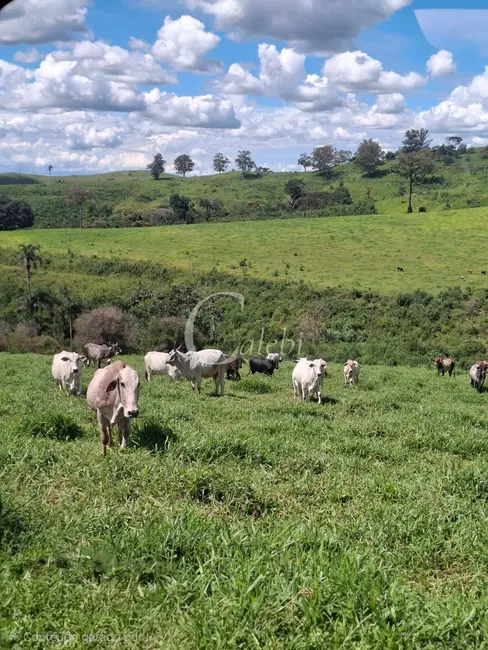 Foto 6 de Fazenda / Haras com 3 quartos à venda, 70m2 em Área Rural de Poços de Caldas, Pocos De Caldas - MG