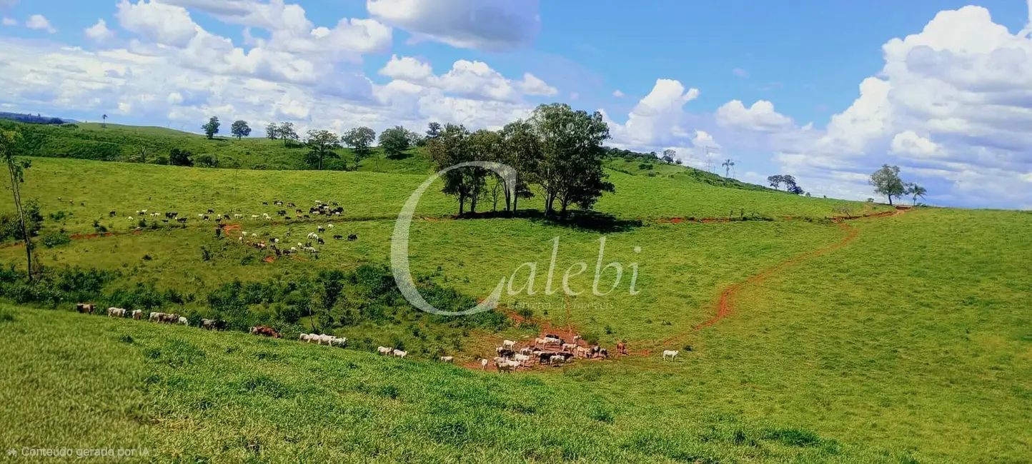 Foto 8 de Fazenda / Haras com 3 quartos à venda, 70m2 em Área Rural de Poços de Caldas, Pocos De Caldas - MG
