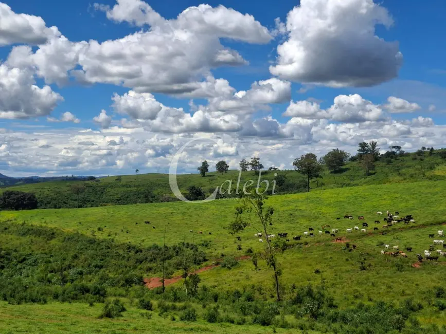 Foto 9 de Fazenda / Haras com 3 quartos à venda, 70m2 em Área Rural de Poços de Caldas, Pocos De Caldas - MG