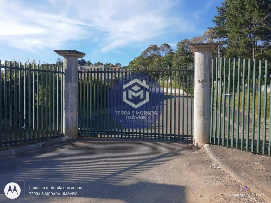 Foto 3 de Lote de Condomínio à venda, 220m2 em São Dimas, Colombo - PR