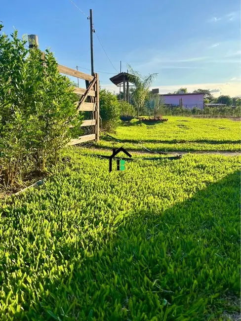 Chácara com 2 quartos à venda, 2000m2 em Área Rural de Patos de Minas, Patos De Minas - MG - imagem 8 Foto 8 de Chácara com 2 quartos à venda, 2000m2 em Área Rural de Patos de Minas, Patos De Minas - MG