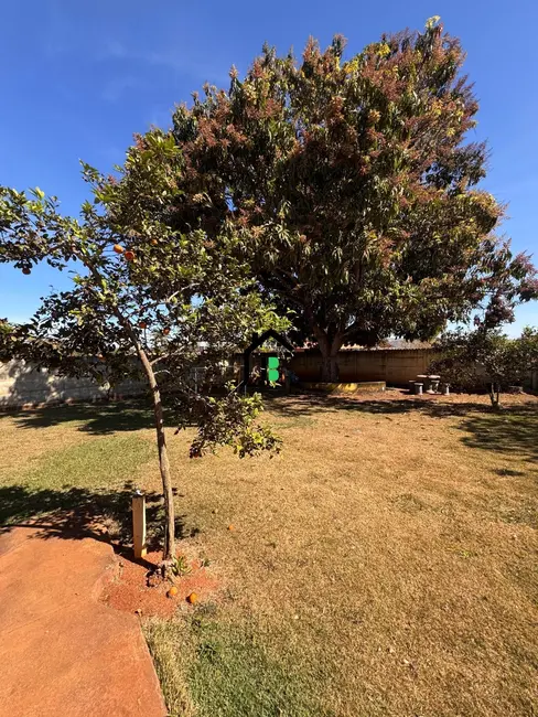 Chácara com 3 quartos à venda, 5000m2 em Área Rural de Patos de Minas, Patos De Minas - MG - imagem 7 Foto 7 de Chácara com 3 quartos à venda, 5000m2 em Área Rural de Patos de Minas, Patos De Minas - MG