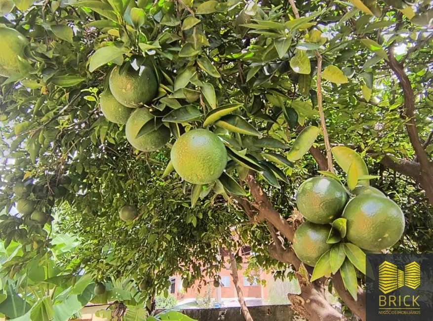 Casa com 2 quartos à venda, 120m2 em Jardim dos Oliveiras, Campinas - SP - imagem 5 Foto 5 de Casa com 2 quartos à venda, 120m2 em Jardim dos Oliveiras, Campinas - SP