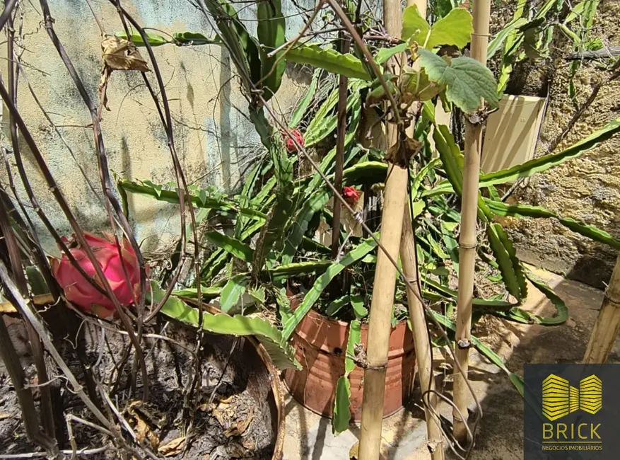 Casa com 2 quartos à venda, 120m2 em Jardim dos Oliveiras, Campinas - SP - imagem 8 Foto 8 de Casa com 2 quartos à venda, 120m2 em Jardim dos Oliveiras, Campinas - SP