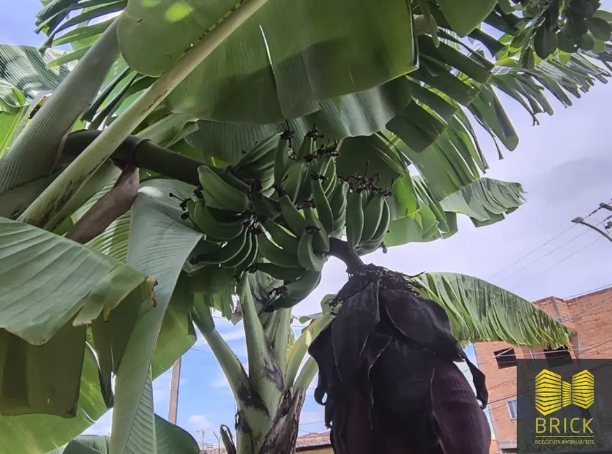 Casa com 2 quartos à venda, 120m2 em Jardim dos Oliveiras, Campinas - SP - imagem 6 Foto 6 de Casa com 2 quartos à venda, 120m2 em Jardim dos Oliveiras, Campinas - SP