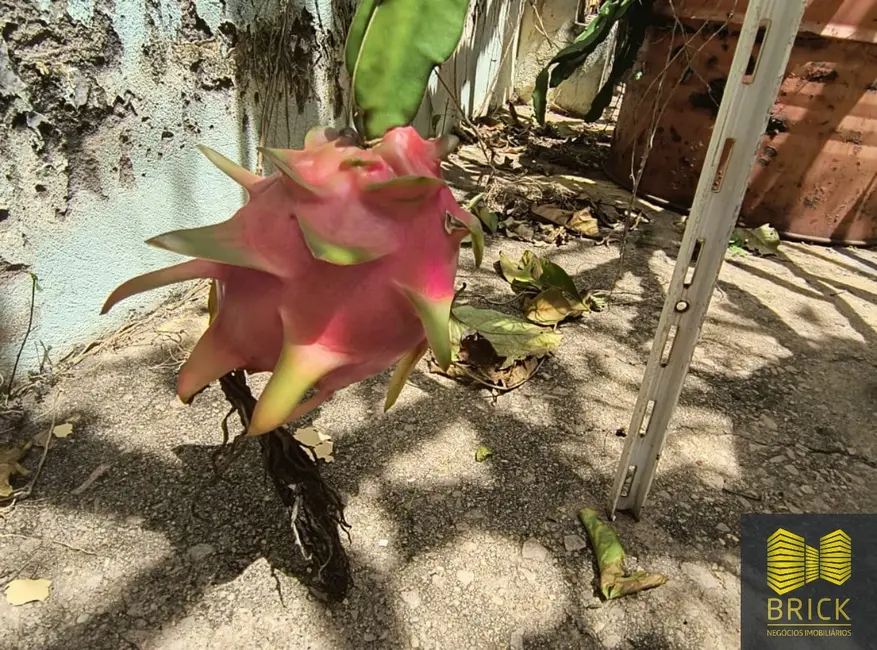 Casa com 2 quartos à venda, 120m2 em Jardim dos Oliveiras, Campinas - SP - imagem 7 Foto 7 de Casa com 2 quartos à venda, 120m2 em Jardim dos Oliveiras, Campinas - SP