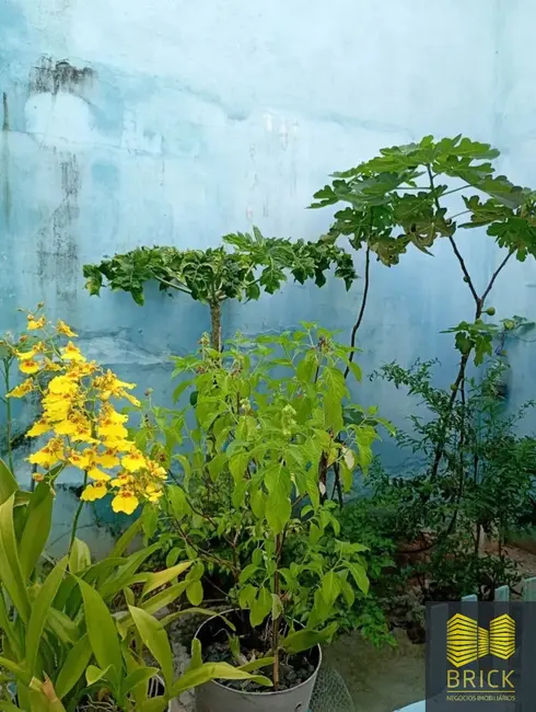 Foto 5 de Casa com 3 quartos à venda, 180m2 em Parque Dom Pedro II, Campinas - SP