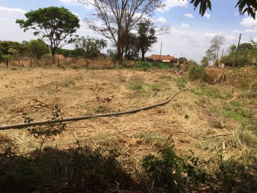 Foto 3 de Chácara à venda, 4175m2 em Parque Hayala, Aparecida De Goiania - GO
