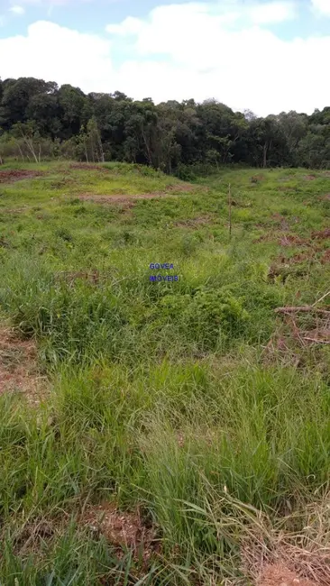 Foto 2 de Terreno / Lote à venda, 5000m2 em Contenda - PR