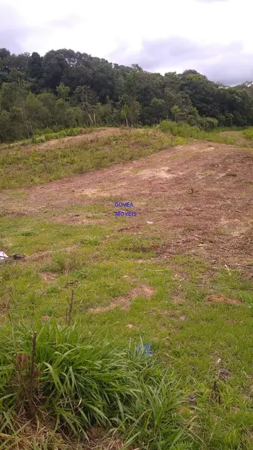 Foto 5 de Terreno / Lote à venda, 5000m2 em Contenda - PR