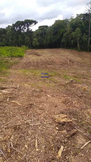 Foto 8 de Terreno / Lote à venda, 5000m2 em Contenda - PR