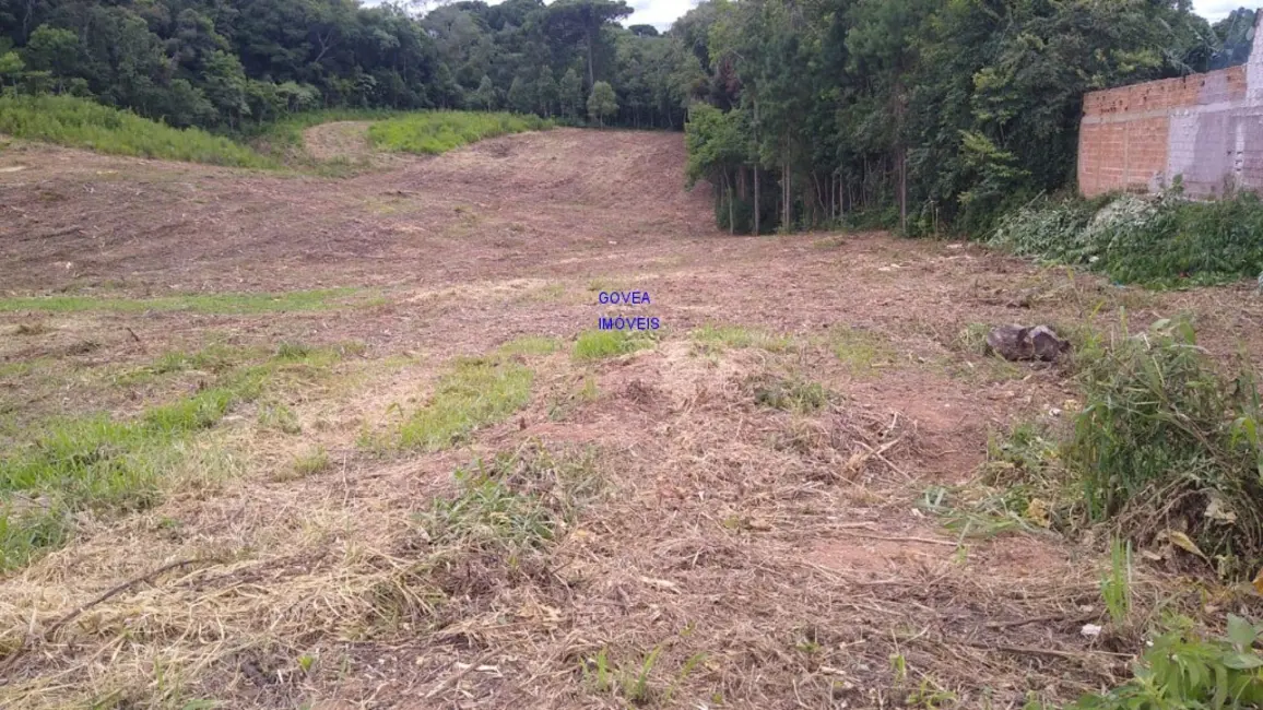 Foto 2 de Terreno / Lote à venda, 5000m2 em Contenda - PR