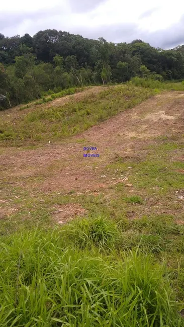 Foto 7 de Terreno / Lote à venda, 5000m2 em Contenda - PR
