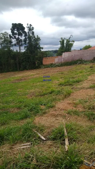 Foto 6 de Terreno / Lote à venda, 5000m2 em Contenda - PR