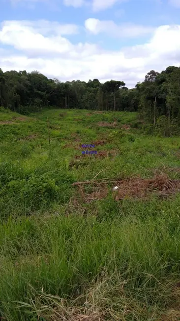 Foto 3 de Terreno / Lote à venda, 5000m2 em Contenda - PR