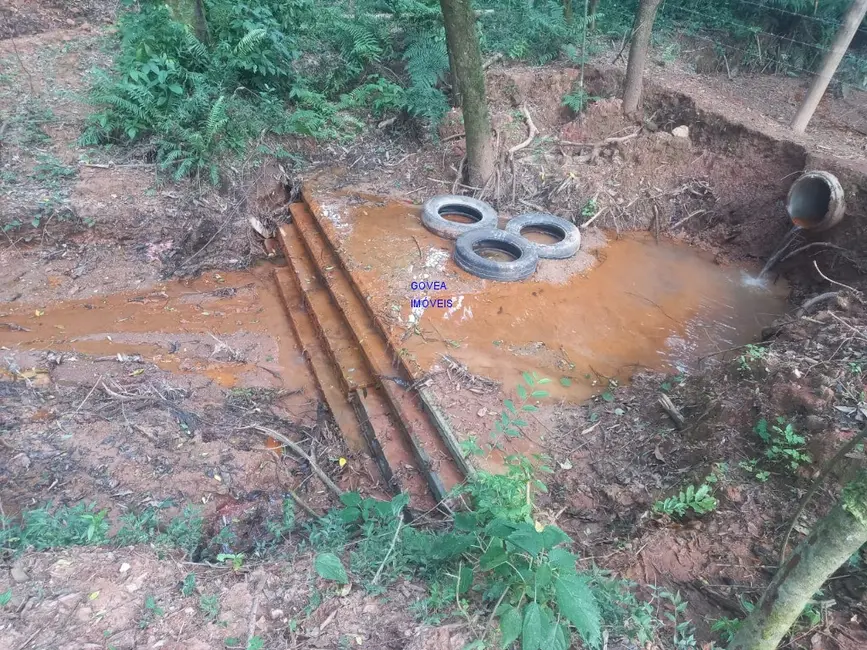 Chácara com 1 quarto à venda, 18000m2 em Contenda - PR - imagem 4 Foto 4 de Chácara com 1 quarto à venda, 18000m2 em Contenda - PR