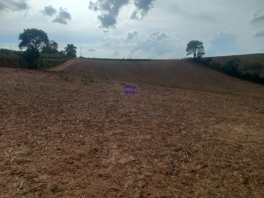 Chácara com 1 quarto à venda, 18000m2 em Contenda - PR - imagem 5 Foto 5 de Chácara com 1 quarto à venda, 18000m2 em Contenda - PR