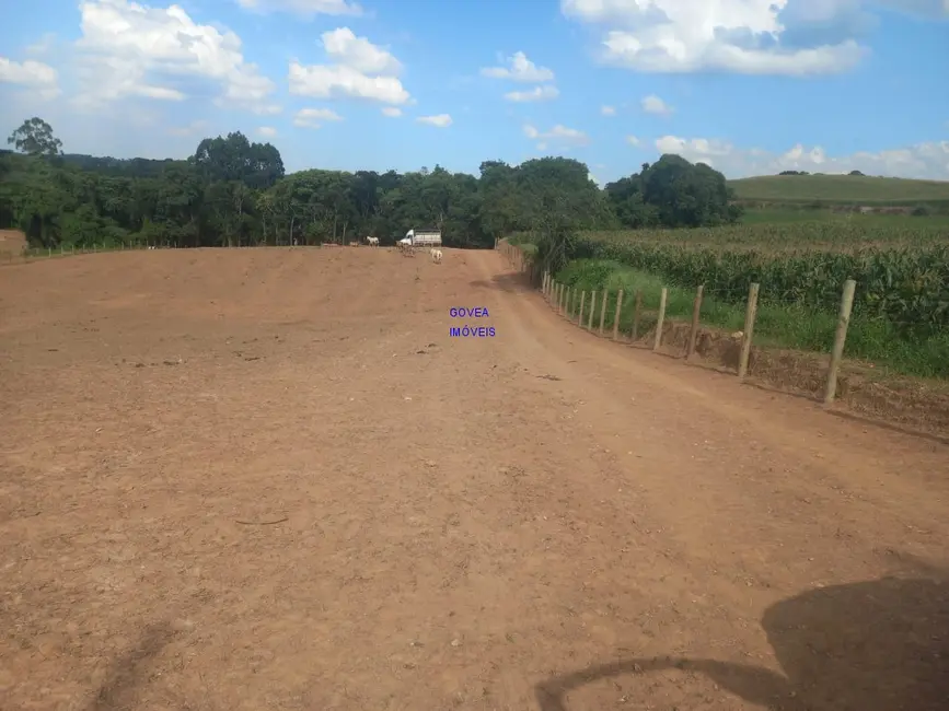 Chácara com 1 quarto à venda, 18000m2 em Contenda - PR - imagem 8 Foto 8 de Chácara com 1 quarto à venda, 18000m2 em Contenda - PR