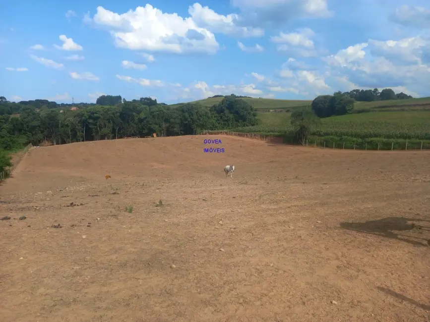 Chácara com 1 quarto à venda, 18000m2 em Contenda - PR - imagem 7 Foto 7 de Chácara com 1 quarto à venda, 18000m2 em Contenda - PR