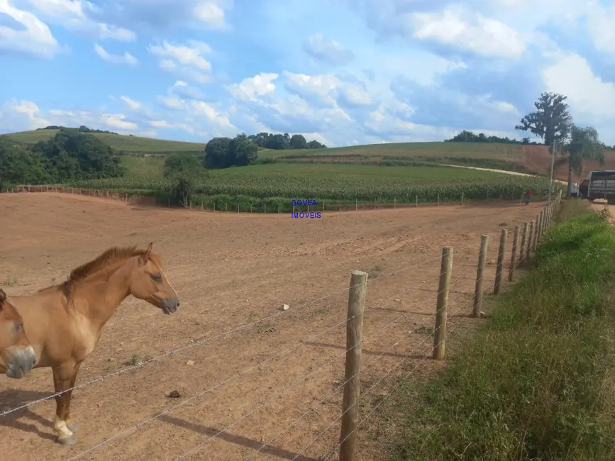Chácara com 1 quarto à venda, 18000m2 em Contenda - PR - imagem 3 Foto 3 de Chácara com 1 quarto à venda, 18000m2 em Contenda - PR